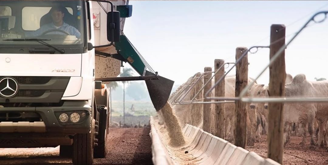 Produção Controlada do Pasto ao Prato